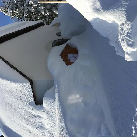 Almenrausch 2- Og Sued-west By Interhome Riederalp