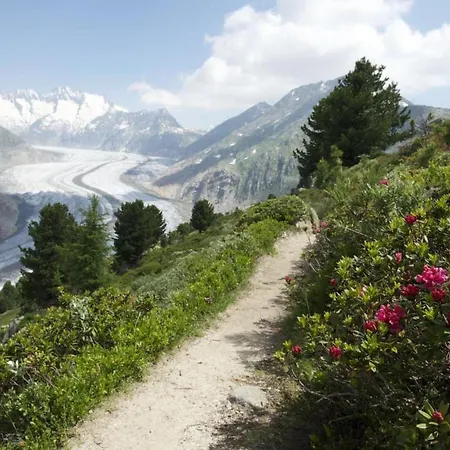 Almenrausch 2- Og Sued-west By Interhome * Riederalp