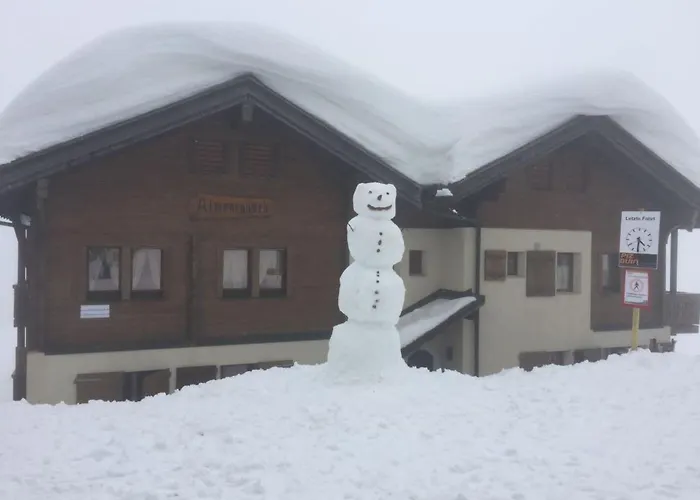 Almenrausch 2- Og Sued-west By Interhome Apartment Riederalp