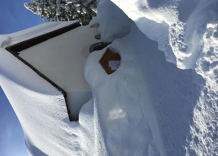 Almenrausch 2- Og Sued-west By Interhome Riederalp