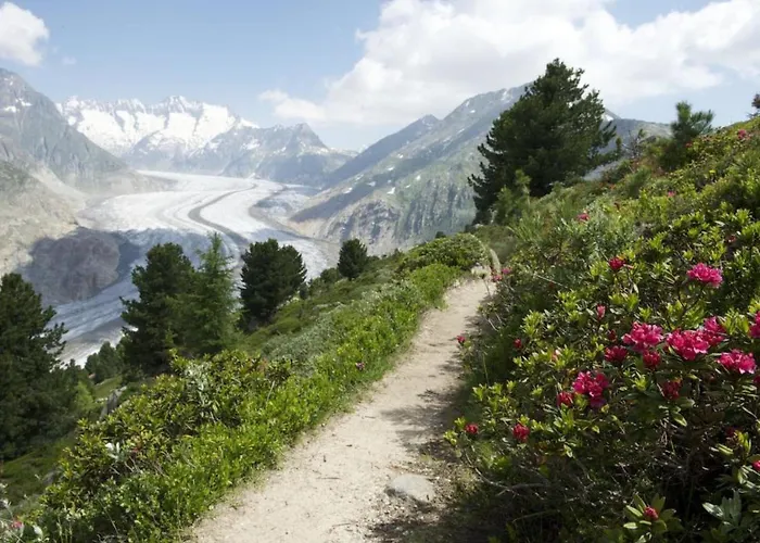 Almenrausch 2- Og Sued-west By Interhome * Riederalp